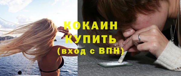прущие крисы Арсеньев