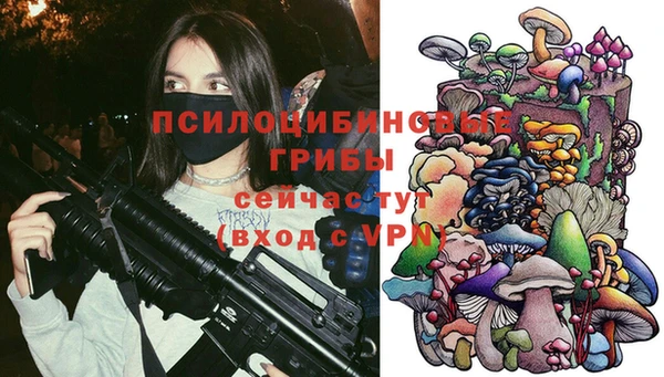 прущие крисы Арсеньев