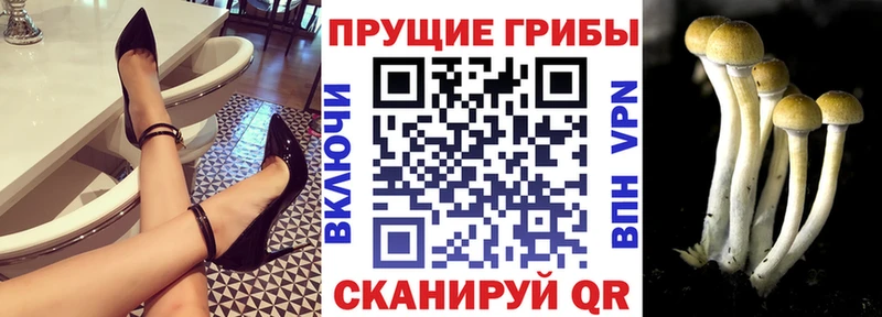 Псилоцибиновые грибы MAGIC MUSHROOMS  Уржум 